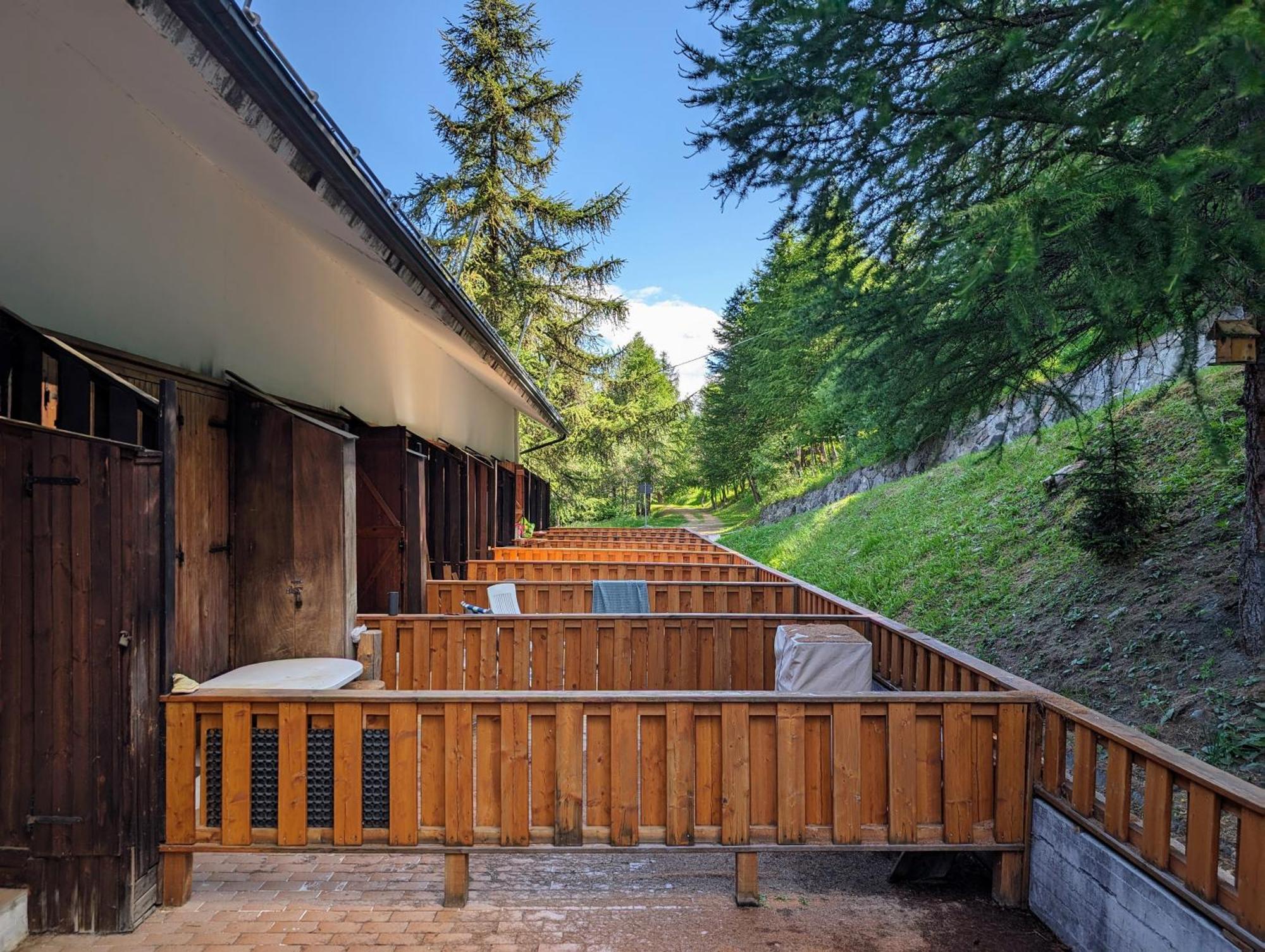 Apartment In The Woods Pila  Esterno foto